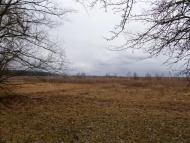 Осовець з panoramio.com