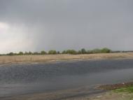 Нетратівка - Останні фото