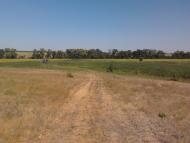 Васинівка - Останні фото