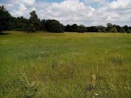 Приліпка з panoramio.com