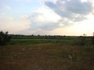 Горянівське - Останні фото