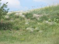 Дніпроенергія - Останні фото