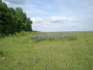 Мала Стружка з panoramio.com