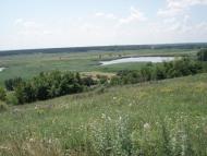 Ряське з panoramio.com