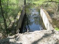 Лісники з panoramio.com