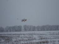 Долина з panoramio.com