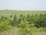 Горзвин з panoramio.com