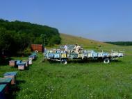 Царедарівка - Останні фото