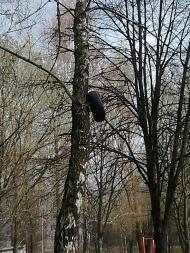 Глеваха з panoramio.com