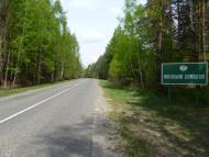 Олива з panoramio.com