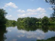 Борсуки з panoramio.com