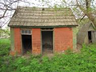 Гінці - Останні фото