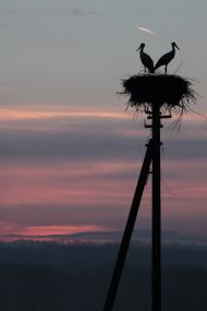 Олефірівка з panoramio.com