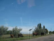 Устинівка - Останні фото