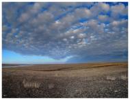 Веселовка - Последние фото