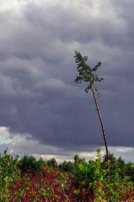 Турійськ з panoramio.com