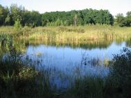 Ворсівка з panoramio.com