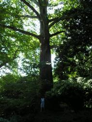 Данилівка з panoramio.com