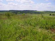 Красносілка з panoramio.com