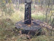 Задорожок з panoramio.com