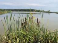 Фертешолмаш з panoramio.com