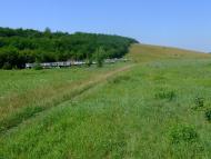 Царедарівка - Останні фото