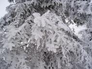 Перегінське з panoramio.com