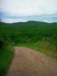 Краснолісся з panoramio.com