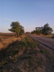 Новоєфремівка з panoramio.com