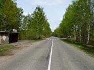 Олива з panoramio.com