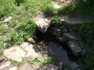 Черемшине з panoramio.com