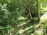 Романівка - Останні фото