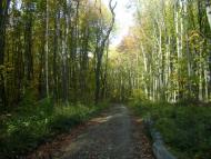 Кам'яниця з panoramio.com