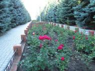 Юр'ївка з panoramio.com