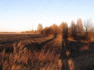 Нововодяне з panoramio.com