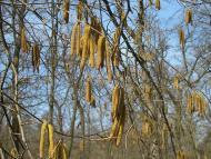 Глибочка з panoramio.com