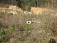 Вербка з panoramio.com