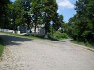 Борсуки з panoramio.com