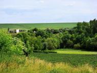 Гур'їв Козачок - Останні фото