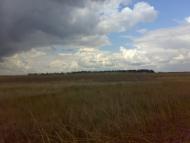 Буркути з panoramio.com