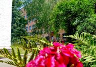 Неморож з panoramio.com