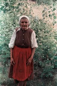 Шведчина з panoramio.com