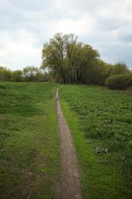 Дейманівка з panoramio.com