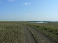 Карла Лібкнехта з panoramio.com