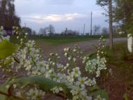 Меленці - Останні фото