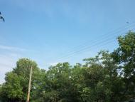 Любимівка з panoramio.com