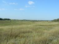 Карла Лібкнехта - Останні фото