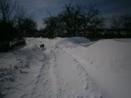 Берездівці з panoramio.com