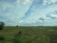 В'язівка з panoramio.com