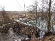 Осовець - Останні фото